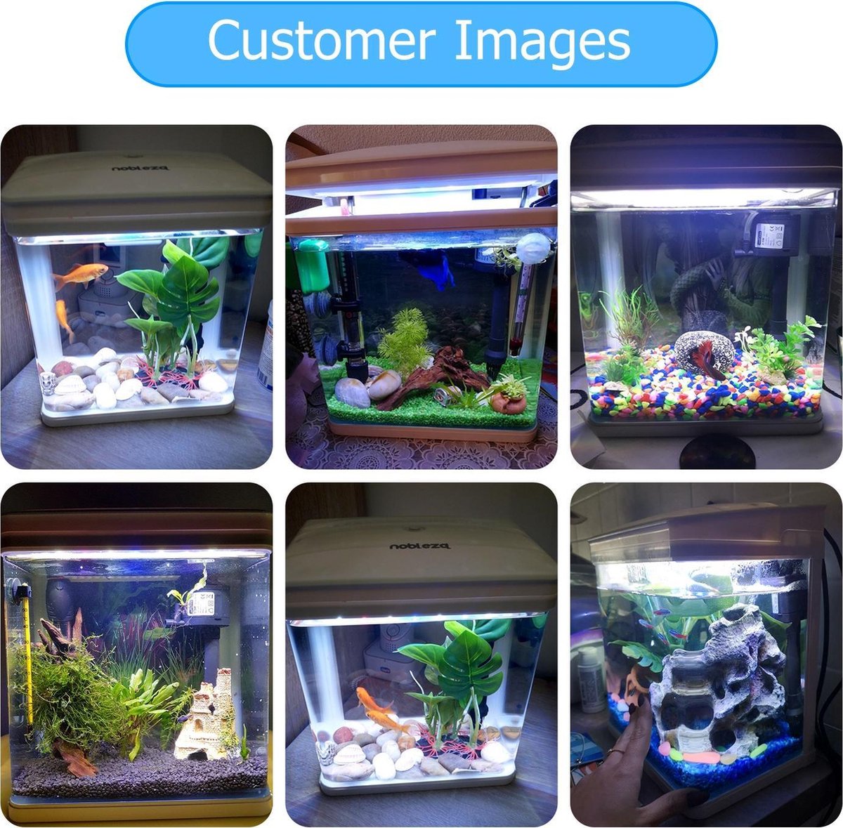 Aquarium Kit - 29x20x33 cm - 14L - Wit - Nobleza