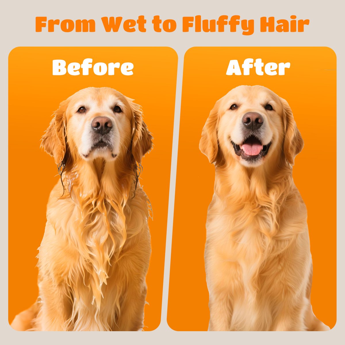 Nobleza 2FT - Professionele Hondenföhn met 4 Opzetstukken - Waterblazer voor honden - Stil Design