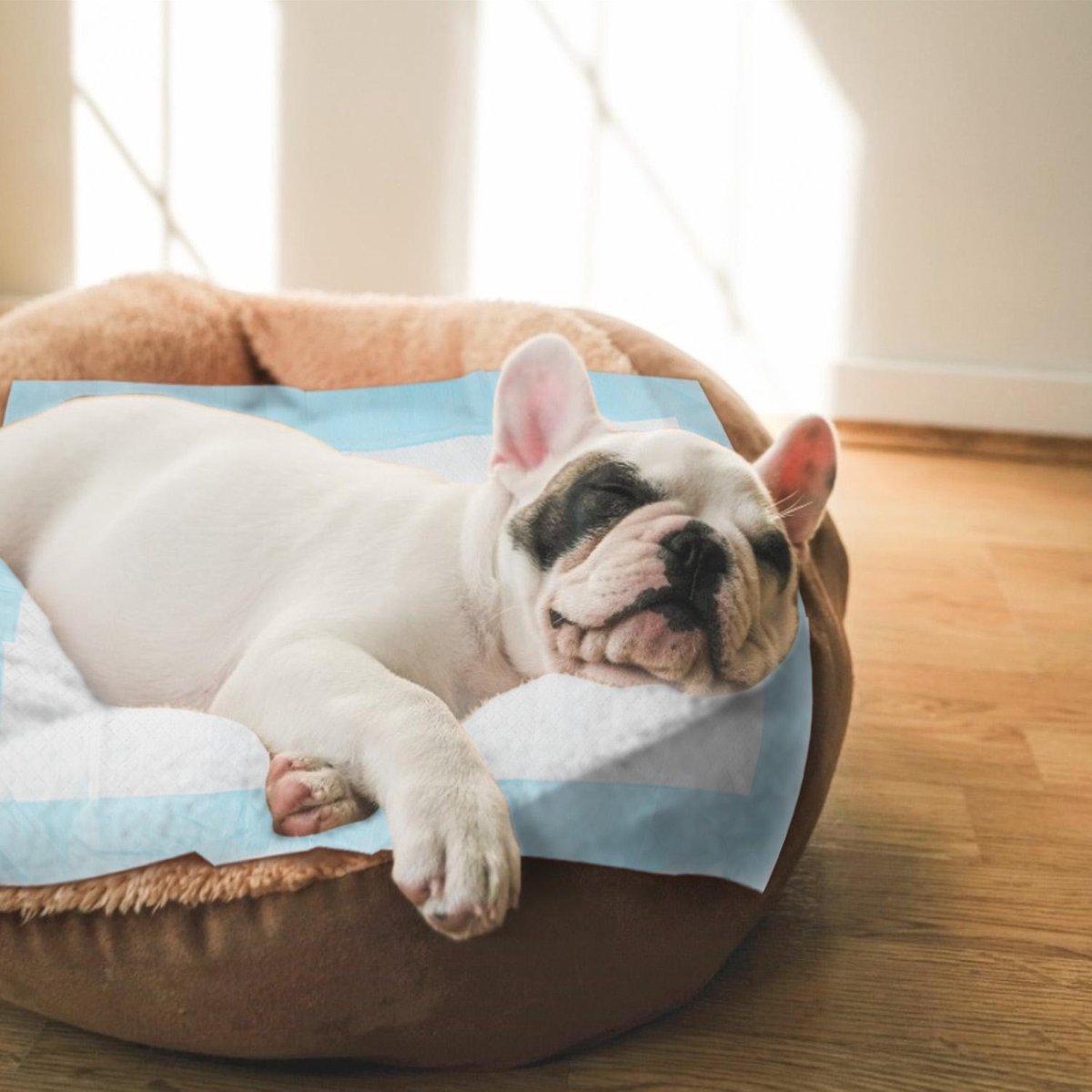 50 Puppy training Pads - 60x40cm - Zindelijkheidstraining