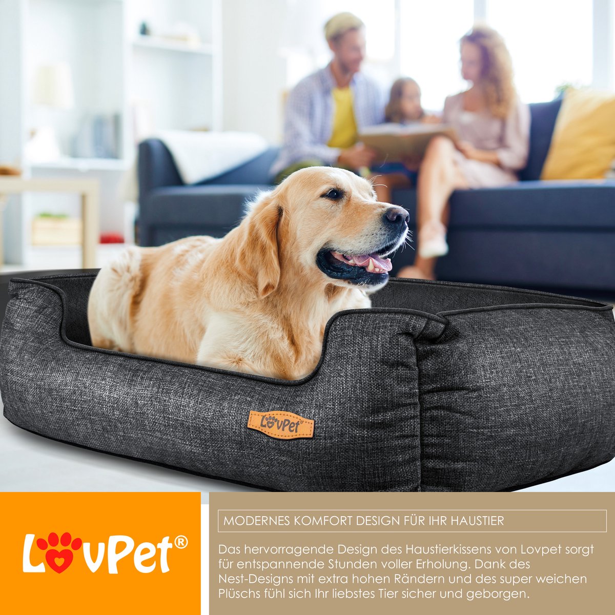 LovPet® Hondenbed Hondenkussen Hondenmand Chiller, Incl. Kom + 3X Kauwbotten, Hondenbankkussen voor Kleine, Middelgrote & Grote Honden, Hoes Afneembaar en Wasbaar - M (70 x 55 x 21 cm), Antraciet