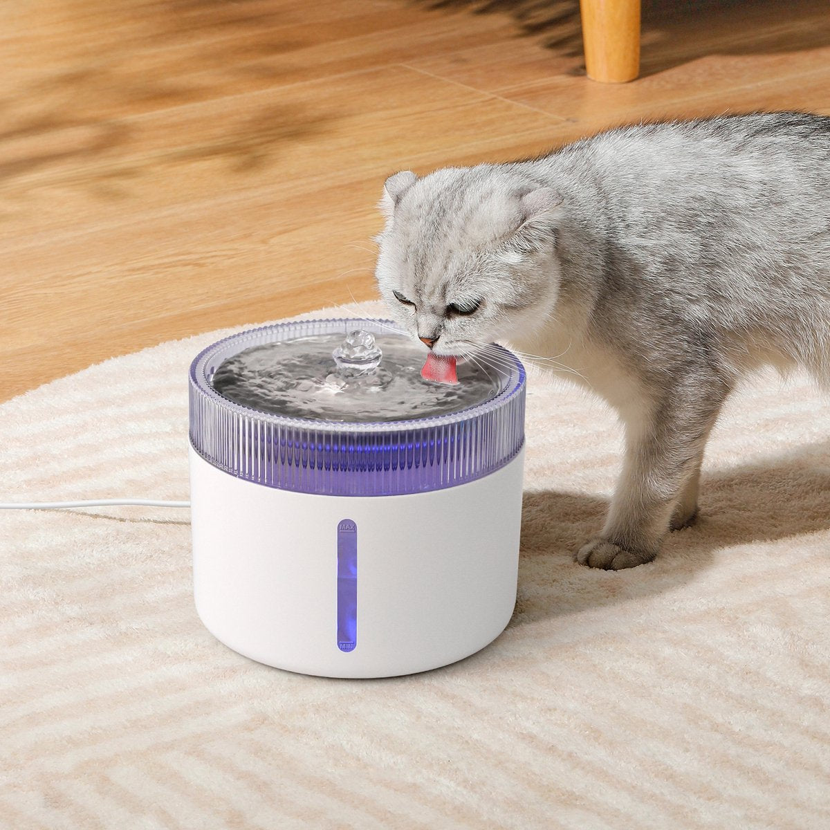 Nobleza Drinkfontein Kat - Kattenfontein - Drinkbak Kat - Waterdispenser Kat - 2L - wit •
