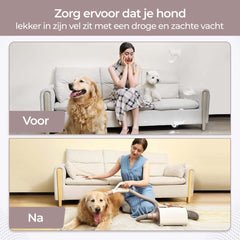 Hondenfohn - Professionele dierenfohn - Honden droger - Wit - Olvy Pets