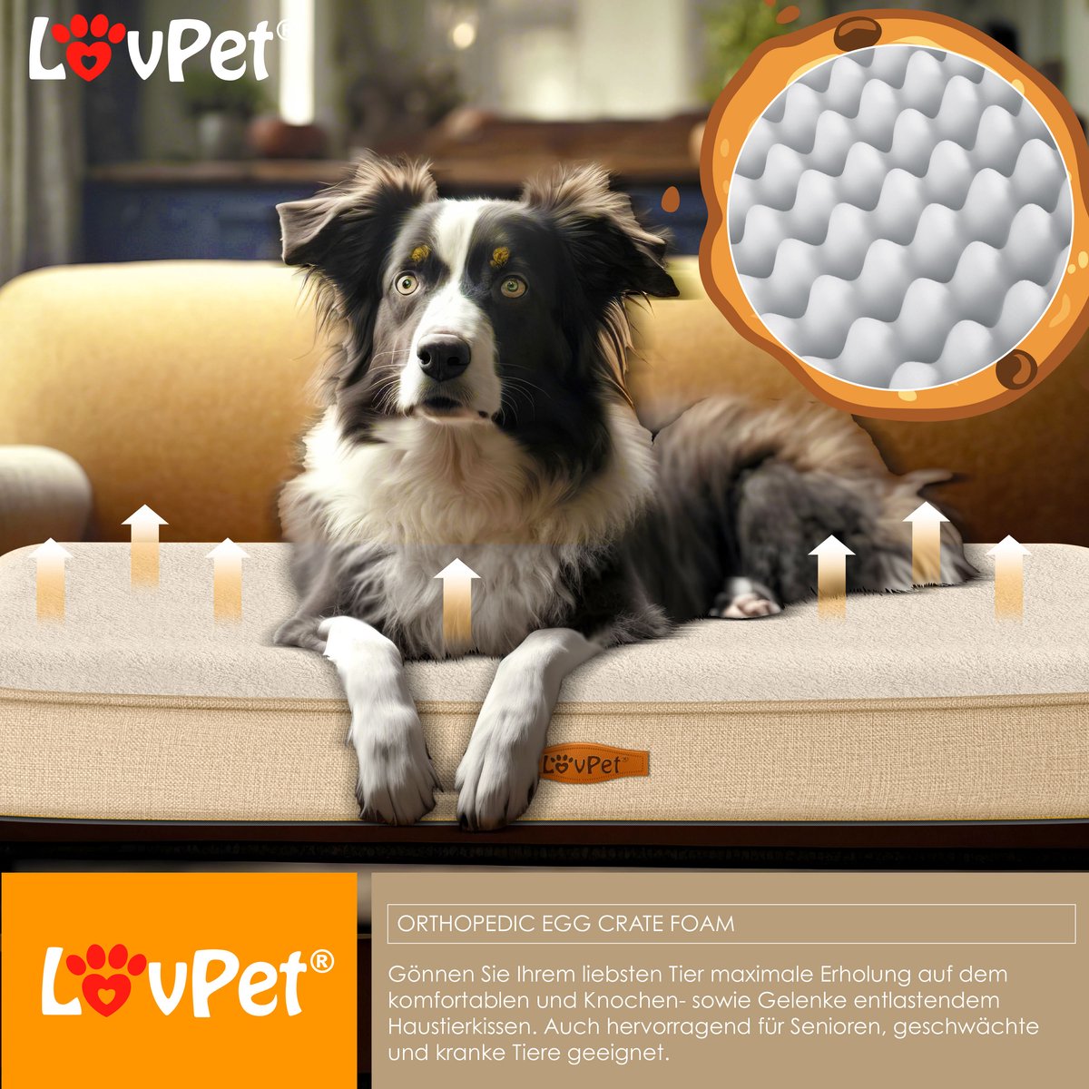 LovPet® Hondenmand - Orthopedisch Hondenbed - 91x69cm - Beige