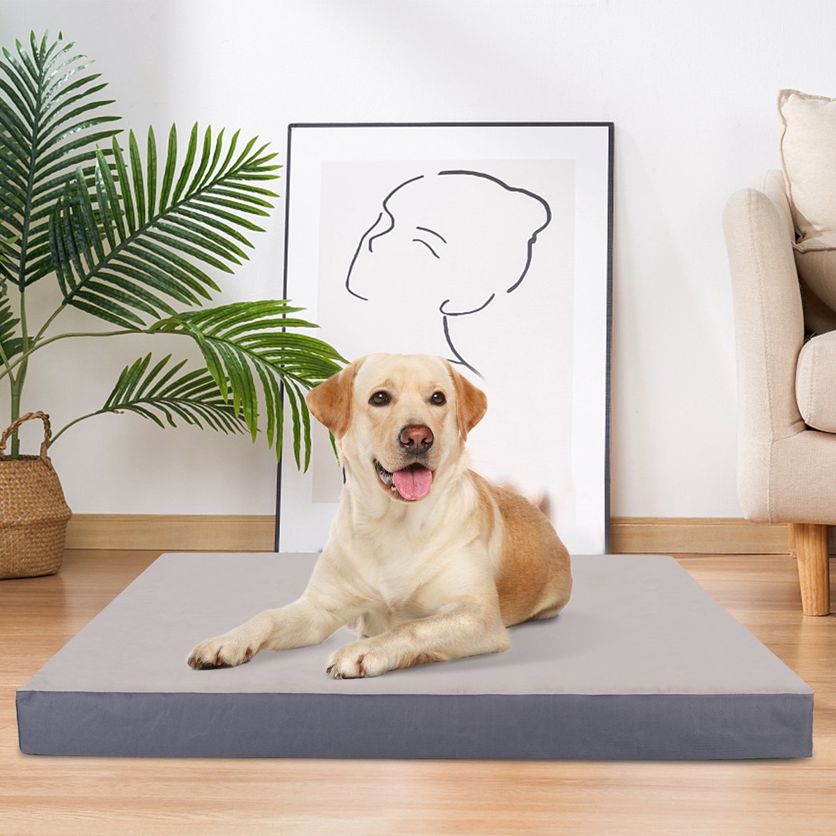 Nobleza Orthopedische Hondenmand - Hondenbed - 75x50x8 cm - Grijs