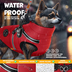 Hondenjas - Hondentrui - Winter - XL - Rood - LOVPET®