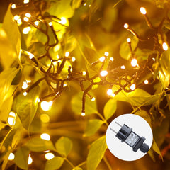 Aigostar LED lichtsnoer - Kerstverlichting - 250 LED - 10 meter - IP44 - warm wit - Kerstboomverlichting - Voor binnen en buiten