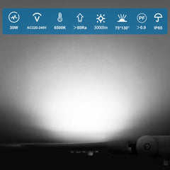 Aigostar - LED Straatlamp IP65 - 30W 2550 Lumen - 6500K daglicht wit
