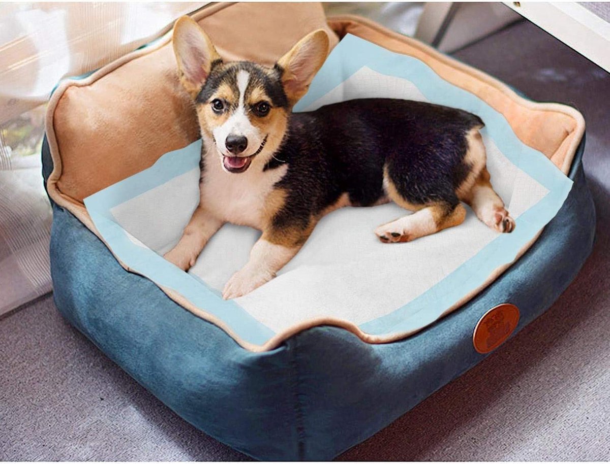 Puppy Training Pads - 60x90cm - 100 stuks - Nobleza