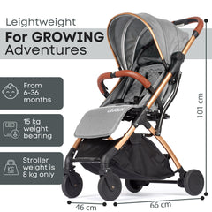 Lejoux Go Baby reiswandelwagen/kinderwagen/buggy - Grijs/Goud