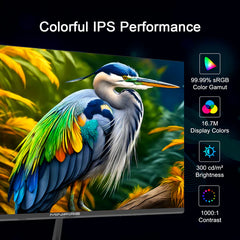 Gaming Monitor - Beeldscherm computer - 27 inch - 100Hz - FHD - Minifire