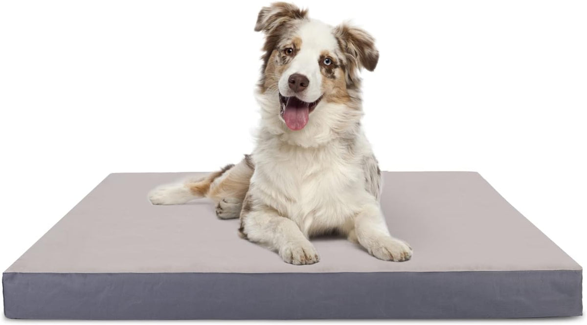 Hondenmand - Hondenkussen - Hondenbed - Grijs - 90x70 cm - Nobleza