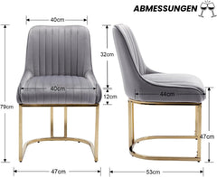 Eetkamerstoelen - Set van 2 - Met Rugleuning - Fluweel - Grijs - Chairus
