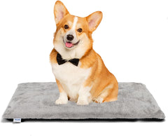 Nobleza Zelfverwarmende hondenmat voor honden en katten, huisdieren, warmtemat winter, hondenkussen voor hondenbedden van verdikt traagschuim, met wasbare zachte pluche hoes, grijs, 76 x 48 x 4 cm
