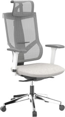 Ergonomische Bureaustoel -  Office Chair - Gamestoel - Volwassenen - Grijs - BS6G - FLEXISPOT