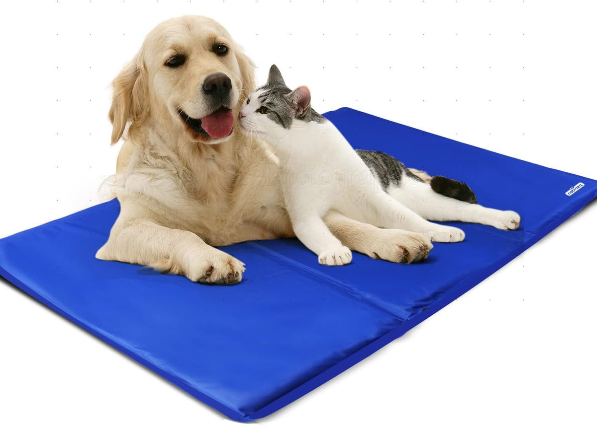 Koelmat Hond & Kat - 90x50 cm - Blauw - Nobleza •