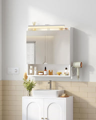 Hzuaneri MC10003XEU Spiegelkast met verlichting, badkamerkast met spiegel, wandkast, haardrogerhouder en haken, met stekker, verstelbare etages, wit, 16,5 x 60 x 68,5 cm