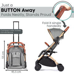 Lejoux Go Baby reiswandelwagen/kinderwagen/buggy - Grijs/Goud