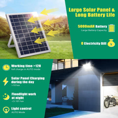 Solar Tuinverlichting - Buitenverlichting - Zonneenergie - Aigostar
