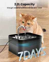 Drinkfontein Kat - Waterfontein Kat - Kattenfontein - 2,2L - Zwart - PawPoll
