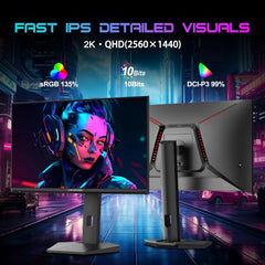 Gaming Monitor - Beeldscherm computer - 27 inch - 300Hz - QHD - Minifire