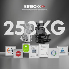 FLEXISPOT Ergonomische bureaustoel ErgoX Pro-Mesh grijs, Met 12-traps hoogteverstelling, met 7D-armleuningen, 5D-lendensteun, 4D-hoofdsteun, 250 kg belastbaarheid