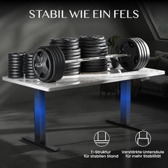 FLEXISPOT In hoogte verstelbaar bureau frame E300, zwart, hoog draagvermogen tot 300 kg, met krachtige dubbele motor