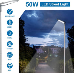 Straatverlichting - Straatlamp - LED - 50W - Grijs - Aigostar
