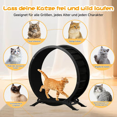 GTPLAYER Kattenloopfiets, loopfiets voor katten, extra groot 100 cm, ultralichte loopfiets met afneembaar tapijt en speelgoed, stickers, vergrendeling, geschikt voor de meeste katten, metaal