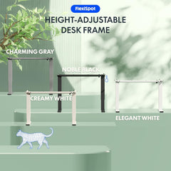 Zit sta bureau - Elektrisch - Verstelbaar - Bureauframe - EN1B- FLEXISPOT