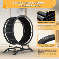 GTPLAYER Kattenloopfiets, loopfiets voor katten, extra groot 100 cm, ultralichte loopfiets met afneembaar tapijt en speelgoed, stickers, vergrendeling, geschikt voor de meeste katten, metaal