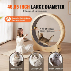 VEVOR Loopfiets voor katten, 1320 x 340 x 1415 mm, van berken- en populierenmultiplex, geluidsarm, afneembare binnenmat, geschikt voor katten met een gewicht van 8 tot 14 kg
