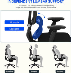 Ergonomische Bureaustoel -  Office Chair - Gamestoel - Volwassenen - Zwart - C7B - FLEXISPOT