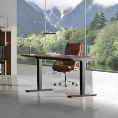 Zit sta bureau - Elektrisch - Verstelbaar - Bureauframe - Zwart - EC5B - FLEXISPOT