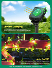 Lichtsnoer Buiten - Lichtslinger - Led - 12 m - Zwart - Aigostar