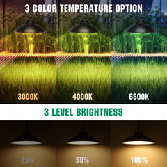 Solar Tuinverlichting - Buitenverlichting - Zonneenergie - Zwart - Aigostar •
