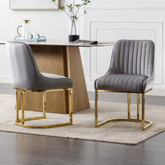 Eetkamerstoelen - Set van 2 - Met Rugleuning - Fluweel - Grijs - Chairus