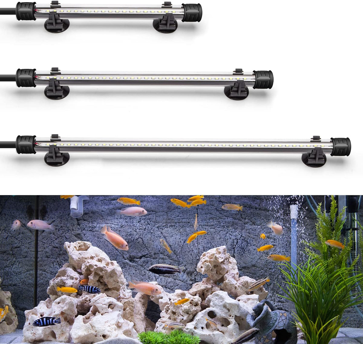 Aquariumverlichting - 20 cm - 1 Watt - Aquarium licht - Nobleza