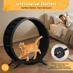 GTPLAYER Kattenloopfiets, loopfiets voor katten, extra groot 100 cm, ultralichte loopfiets met afneembaar tapijt en speelgoed, stickers, vergrendeling, geschikt voor de meeste katten, metaal
