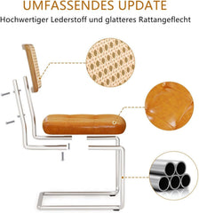 Eetkamerstoelen - Set van 2 - Metaal / Rotan - Bruin