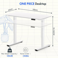 Zit sta bureau - Elektrisch - Verstelbaar - 120 x 60 cm - QE1W - FLEXISPOT