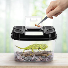 Terrarium voor reptielen en amfibieën, transparante kunststof kweekbox voor schildpad, hagedis, spide, hoornkkikker, kever - XL (34,8 x 22,1 x 21,6 cm) - Nobleza •