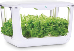 ACQUARAGIA Green Farm Hydroponische Kas, Hydroponisch kweeksysteem voor kruiden, planten en bloemen met LED-lamp, inclusief voedingsoplossingsset, creëer je eigen moestuin thuis, 60 x 37,5 x 42,5 cm