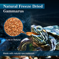 Schildpad voer - Schildpadvoer - Gammarus - 320g - 3L - Nobleza