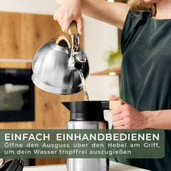 Fluitketel - Voor op gas of inductie - 2,2L - RVS - WALDWERK •