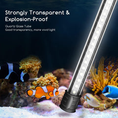 Aquariumverlichting - 20 cm - 1 Watt - Aquarium licht - Nobleza