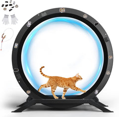 GTPLAYER Kattenloopfiets, loopfiets voor katten, extra groot 100 cm, ultralichte loopfiets met afneembaar tapijt en speelgoed, stickers, vergrendeling, geschikt voor de meeste katten, metaal