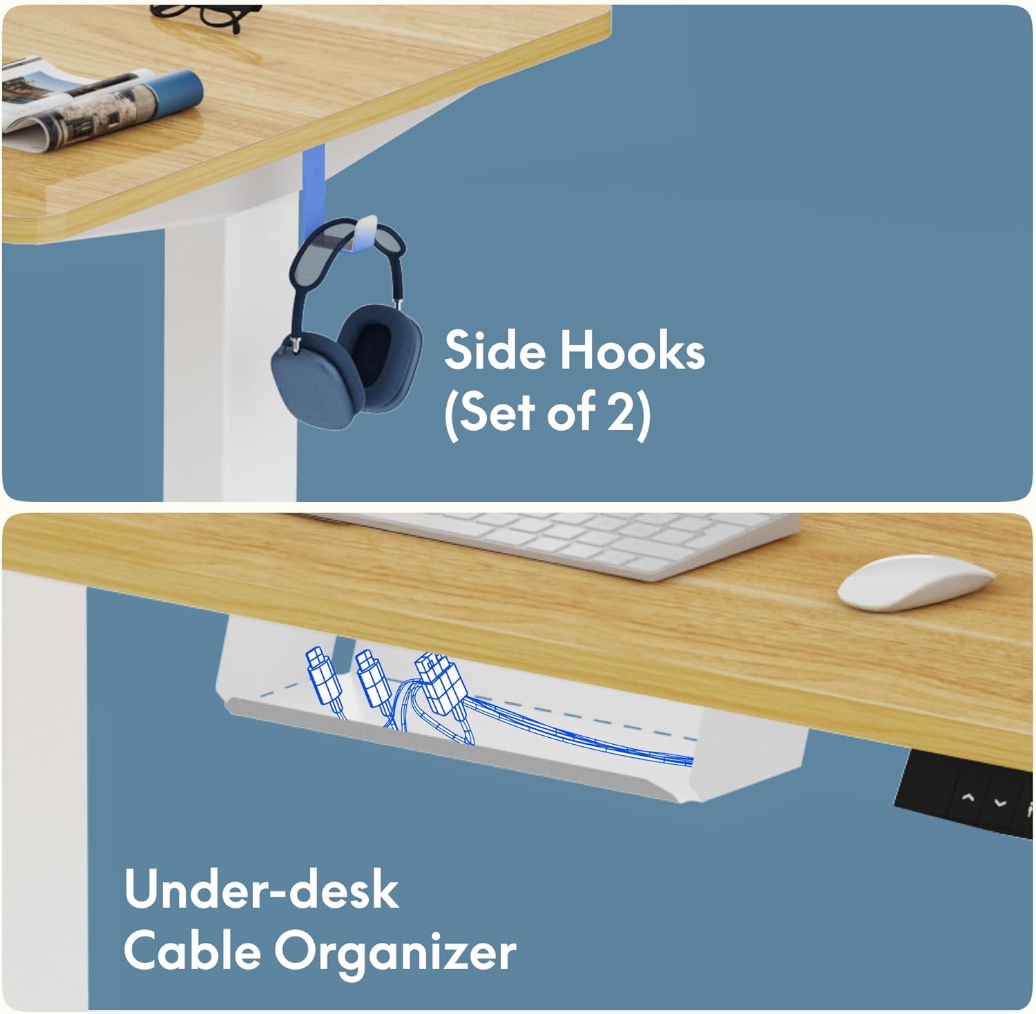 FLEXISPOT zit- en sta-bureau, eendelig blad 100x60cm, elektrisch in hoogte verstelbaar bureau, bedieningspaneel met geheugenfuncties, eenvoudige montage, telewerkbureau (zwart + zwart)