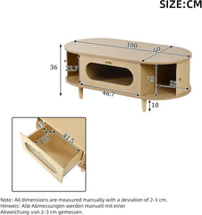 DACHETOU Salontafel 50x100cm, houtkleur, salontafel met één lade, bijzettafel met roldeur, salontafel, woonkamertafel met 4 steunpoten, houtkleur
