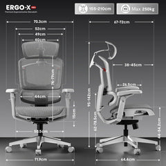 FLEXISPOT Ergonomische bureaustoel ErgoX Pro-Mesh grijs, Met 12-traps hoogteverstelling, met 7D-armleuningen, 5D-lendensteun, 4D-hoofdsteun, 250 kg belastbaarheid