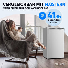 Stillstern Vriezer Klein (73L) 4-sterren vriesvak -18 °C. Energiever. Mini vriezer met 3 vakken, traploos reg. temp., kleine diepvriezer, deuraanslag r./l. vriezer R600A zilver